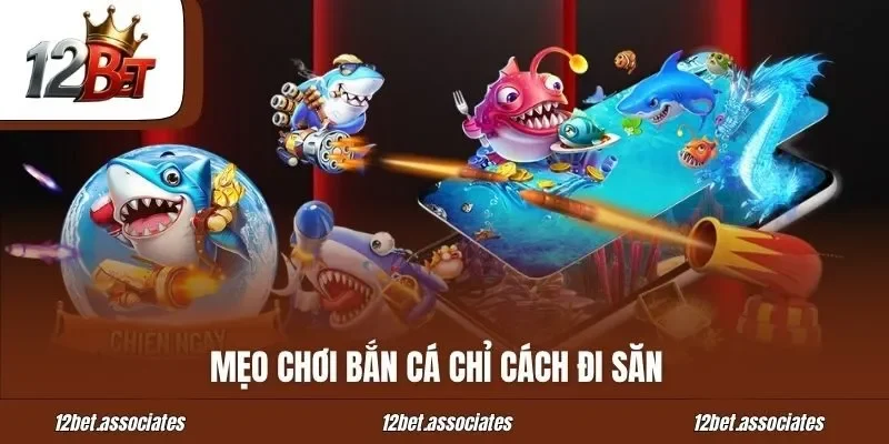 Mẹo chơi bắn cá chỉ cách đi săn tại 12Bet