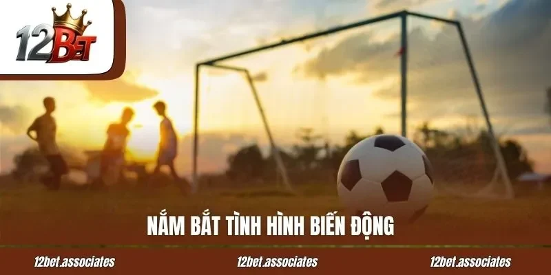 Nắm bắt tình hình biến động tại 12Bet