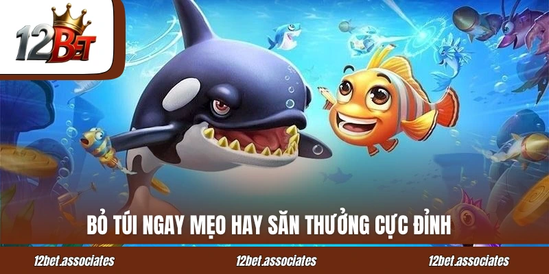 Bỏ túi ngay mẹo hay săn thưởng cực đỉnh tại 12bet