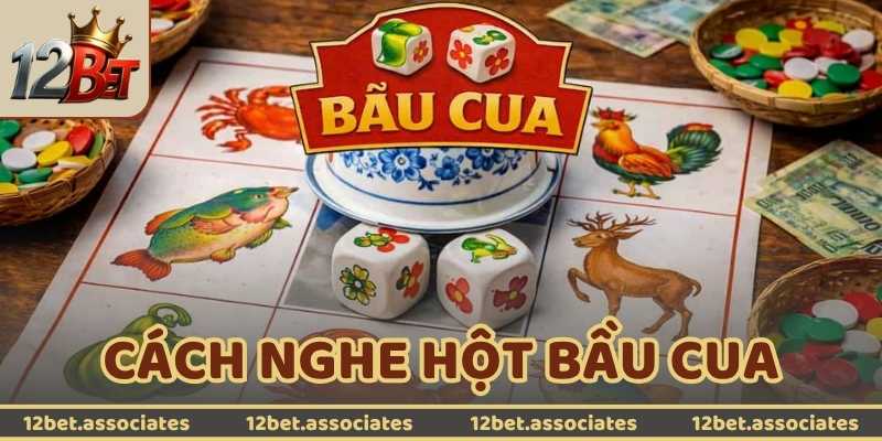 Cách Nghe Hột Bầu Cua - Chiêu Thức Của Dân Chơi Lão Luyện